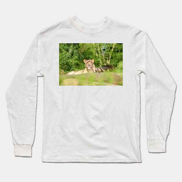 Lioness Long Sleeve T-Shirt by Russell102